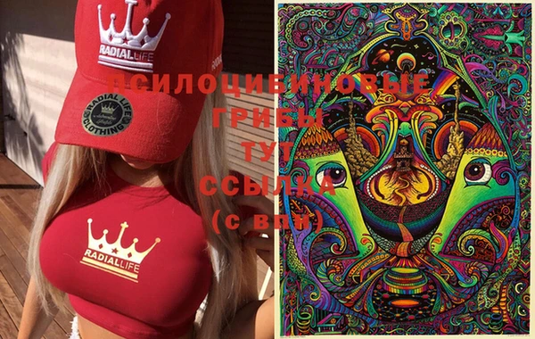 PSILOCYBIN Новосибирск
