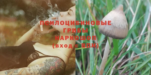 амфетамин Ладушкин